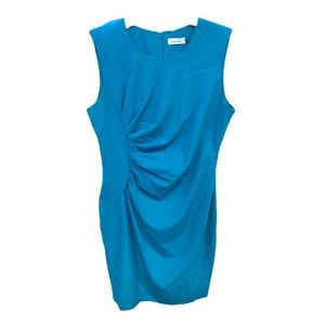 Calvin Klein Sleeveless Ruched Sheath Dress | Women’s Size 12